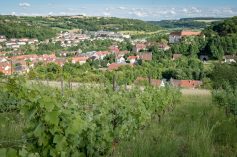 2017_06_30_Niederstetten_UW-1+-+Kopie